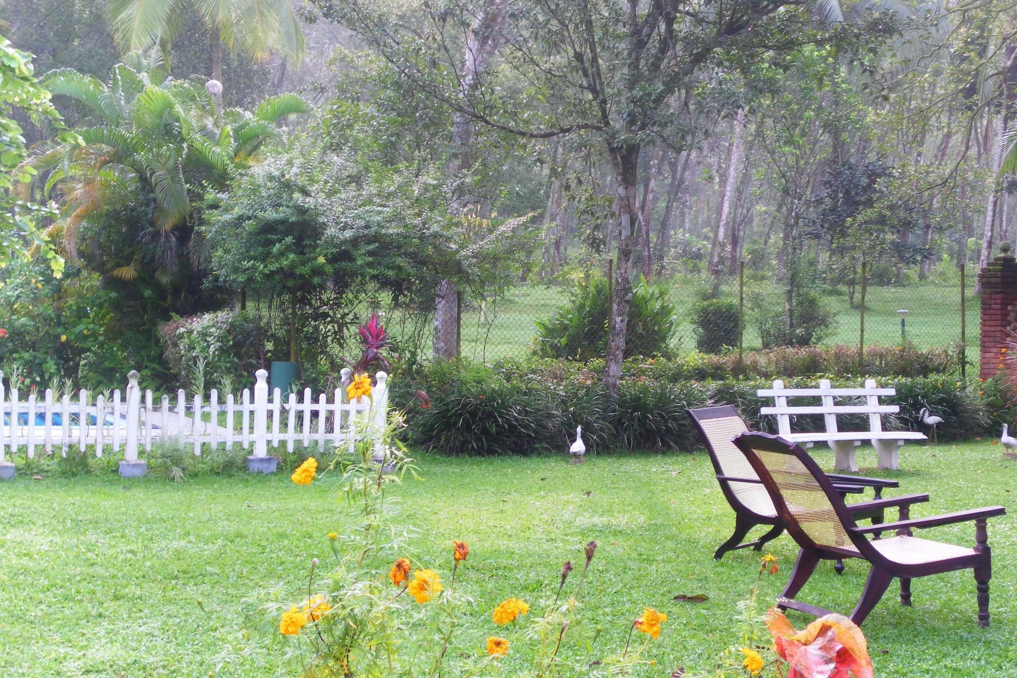 Plantation Villa Kalutara Exterior foto